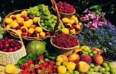 سهم جدید بخریم؟
