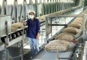 تشکیل کمیته‌ای برای عرضه ۱۰۰ درصدی سیمان در بورس