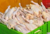 هیچ واحد صنفی نباید مرغ را بیشتر از ۲۷ هزار تومان عرضه کند