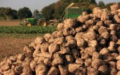 نگاهی به عملکرد و سودآوری «قلرست» طی چند سال اخیر