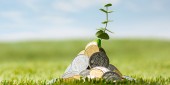 لیست دارایی های ملکی«وسخراش»